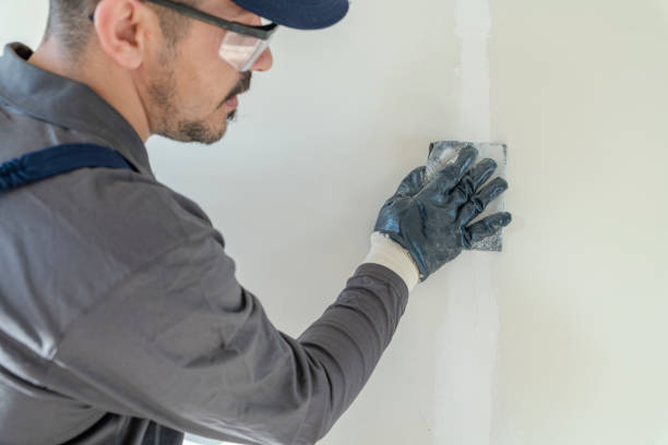 Best Attic Mold Removal  in La Junta, CO